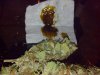 IMG_20130519_214931_150.jpg