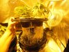 growpics 5-20 002.jpg