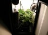 Day #1 Flower; SuperBox 001.jpg