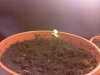 IMG_20130520_193010.jpg