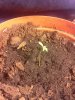 IMG_20130520_193904.jpg
