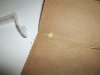 day 65 (seed #3) pollen pic 2.jpg