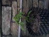 20130517_204620.jpg