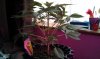 IMAG0669.jpg