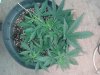 20130523_182155.jpg