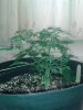 20130523_182253.jpg