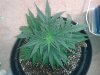 20130523_182409.jpg
