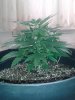 20130523_182418.jpg