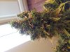 20130523_154635.jpg