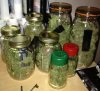 StarRyder stash kushT.jpg StarRyder stash kushT.jpg