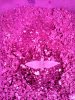 IMG_20130523_204051_850.jpg