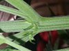 20130524_121745.jpg
