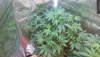 20200418_035703.jpg