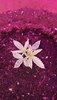 20200130_044728.jpg