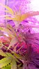 20200217_141443.jpg