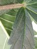 20200420_042956.jpg