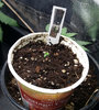 WW XXL Auto plant1 -4-26-2020.jpg
