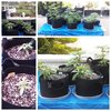 collagemaker_20204227917364.jpg