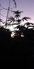 20200427_194506.jpg