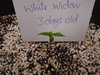 DSC04059.JPG