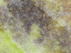 20-05-06 13:36:24.png