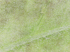 20-05-06 13:35:54.png