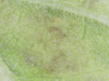 20-05-06 13:34:48.png