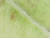 20-05-06 13:34:02.png