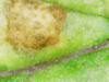 20-05-06 13:36:37.png