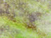 20-05-06 13:36:32.png