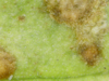 20-05-06 13:35:44.png