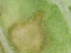 20-05-06 13:34:30.png