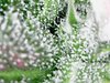 8FCC412A-16C2-4E9B-A0A1-92B65EB7515E.jpeg