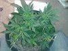 20130524_183213.jpg