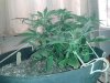 20130524_183223.jpg