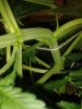 20130524_183253.jpg