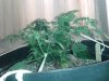 20130524_183438.jpg