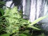 100_1680.jpg