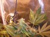 100_1686.jpg