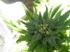 100_1663.jpg