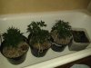 20130526_212306.jpg