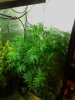 IMG_20130528_012409.jpg