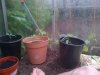 IMG-20130528-00092.jpg