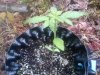 130528_0006.jpg