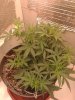20130528_204734.jpg