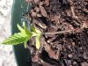 20130526_100041.jpg