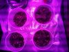 20130528_204105.jpg