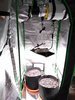 IMG_20200510_161630.jpg