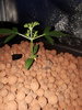 20200511_150400.jpg 20200511_150400.jpg