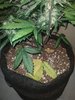 IMG_20200516_201744530.jpg